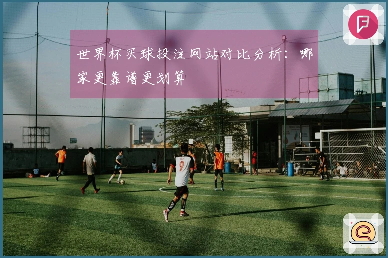 世界杯买球投注网站对比分析：哪家更靠谱更划算